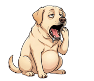853340765