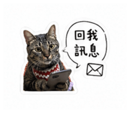 853343015