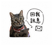 853343015