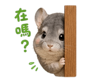 853343154