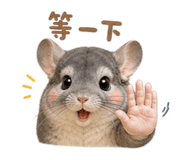 853343161
