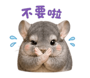 853343162