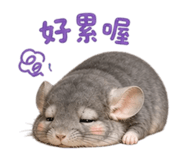 853343166