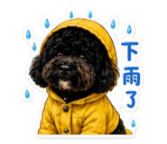 853343250