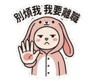 853343305