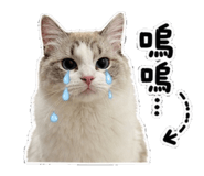 853343337