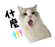 853343349