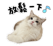 853343352