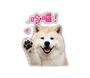 853343425