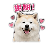853343426
