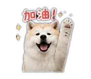 853343428