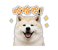 853343429