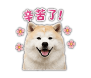853343433