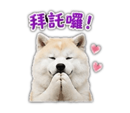 853343434