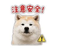 853343435