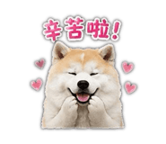 853343437