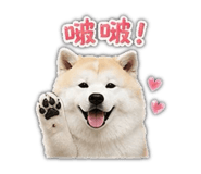 853343440