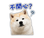 853343447