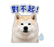 853343448