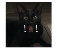 853343662