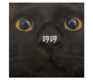 853343663