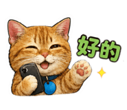 853343889
