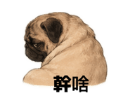853344088