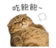 853344706