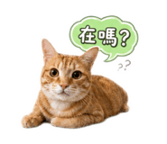 853346614