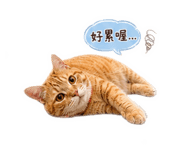 853346624