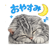 853346934