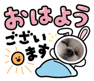853347224