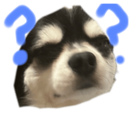 853347233