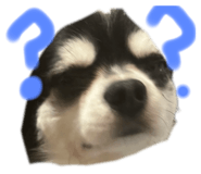 853347233