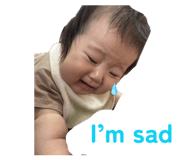 853347531