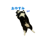 853347777