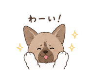 853347906