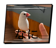 853348306