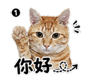 853349393