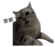 853349979