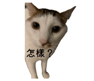 853349982