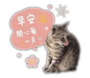 853350362