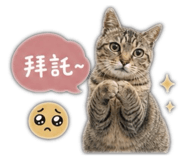 853350371