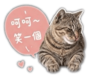 853350375
