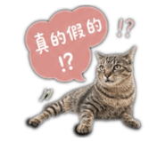 853350385