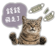 853350388