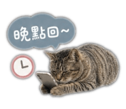 853350390