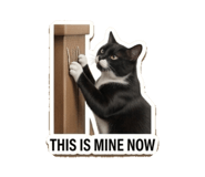 853350445