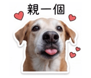 853350703