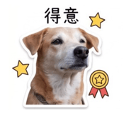 853350709